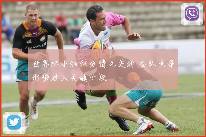 世界杯小组积分情况更新 各队竞争形势进入关键阶段