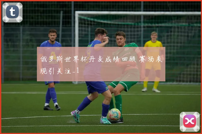 俄罗斯世界杯丹麦成绩回顾 赛场表现引关注_1