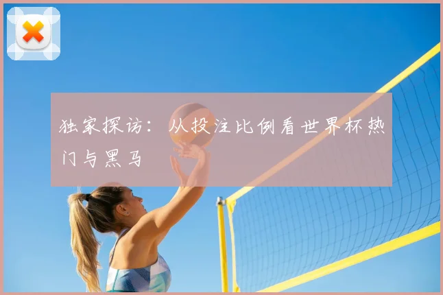 独家探访：从投注比例看世界杯热门与黑马