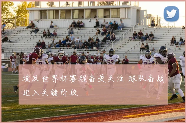 埃及世界杯赛程备受关注 球队备战进入关键阶段