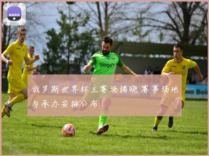 俄罗斯世界杯主赛场揭晓 赛事场地与承办安排公布