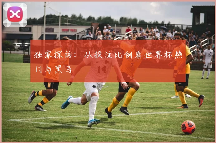 独家探访：从投注比例看世界杯热门与黑马