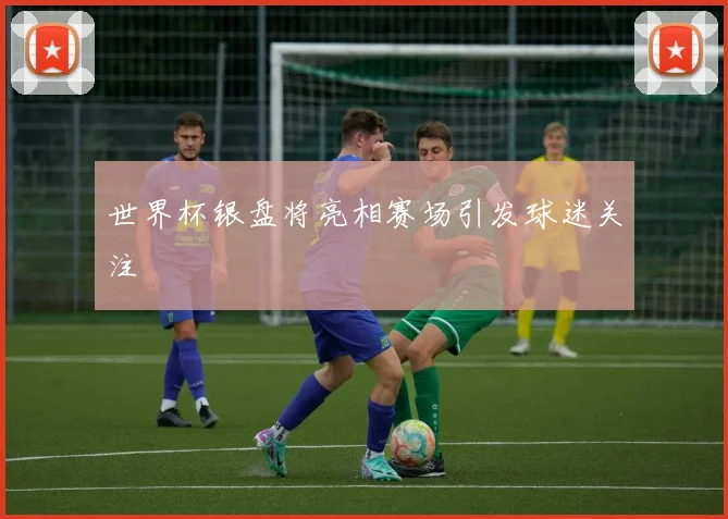 世界杯银盘将亮相赛场引发球迷关注