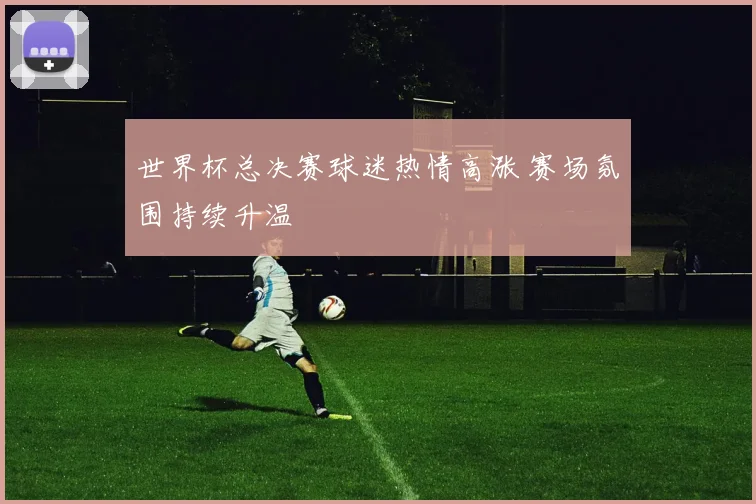 世界杯总决赛球迷热情高涨 赛场氛围持续升温