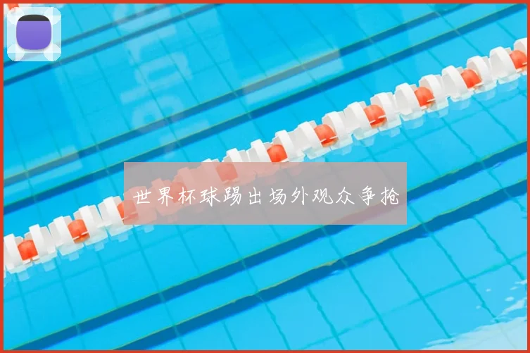 世界杯球踢出场外观众争抢