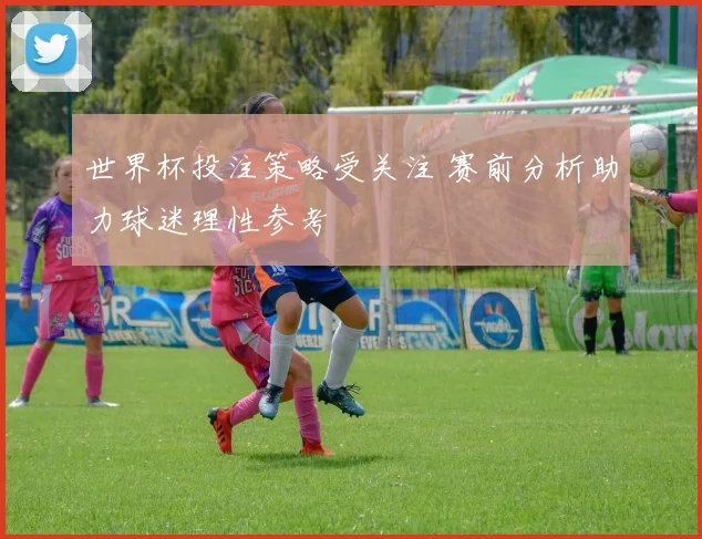 世界杯投注策略受关注 赛前分析助力球迷理性参考