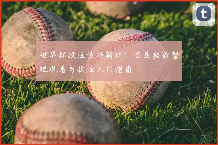 世界杯投注技巧解析：百度经验整理观看与投注入门指南