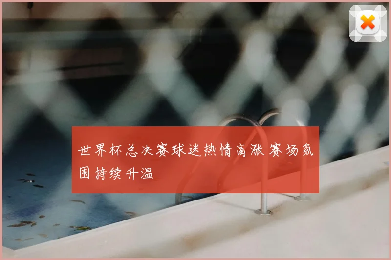 世界杯总决赛球迷热情高涨 赛场氛围持续升温
