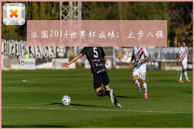 法国2014世界杯成绩：止步八强