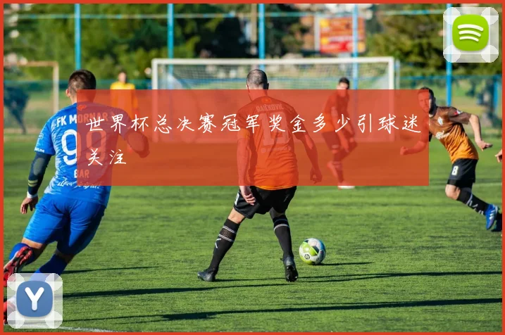 世界杯总决赛冠军奖金多少引球迷关注